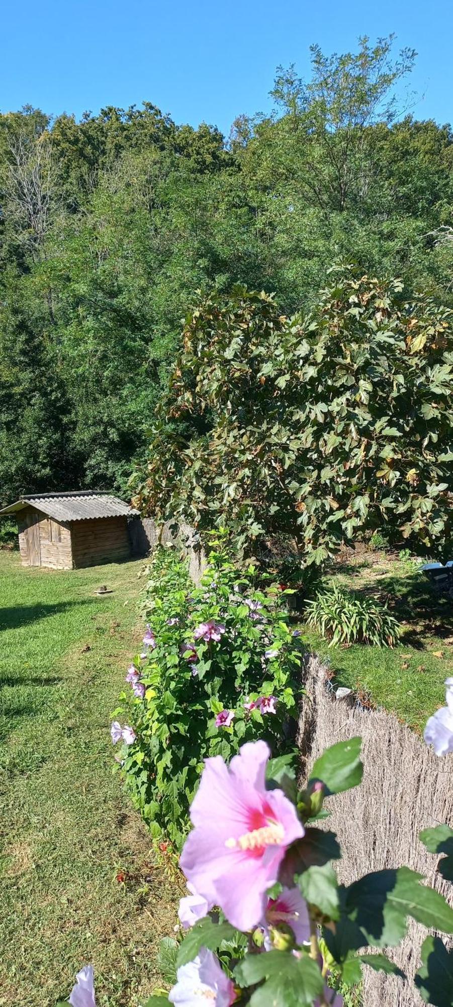 La Casa Bed&Breakfast Entree Independante 26M2 Calme Proche De Tout Wifi Parking Prive Jardin Terrasse Urrugne Eksteriør billede