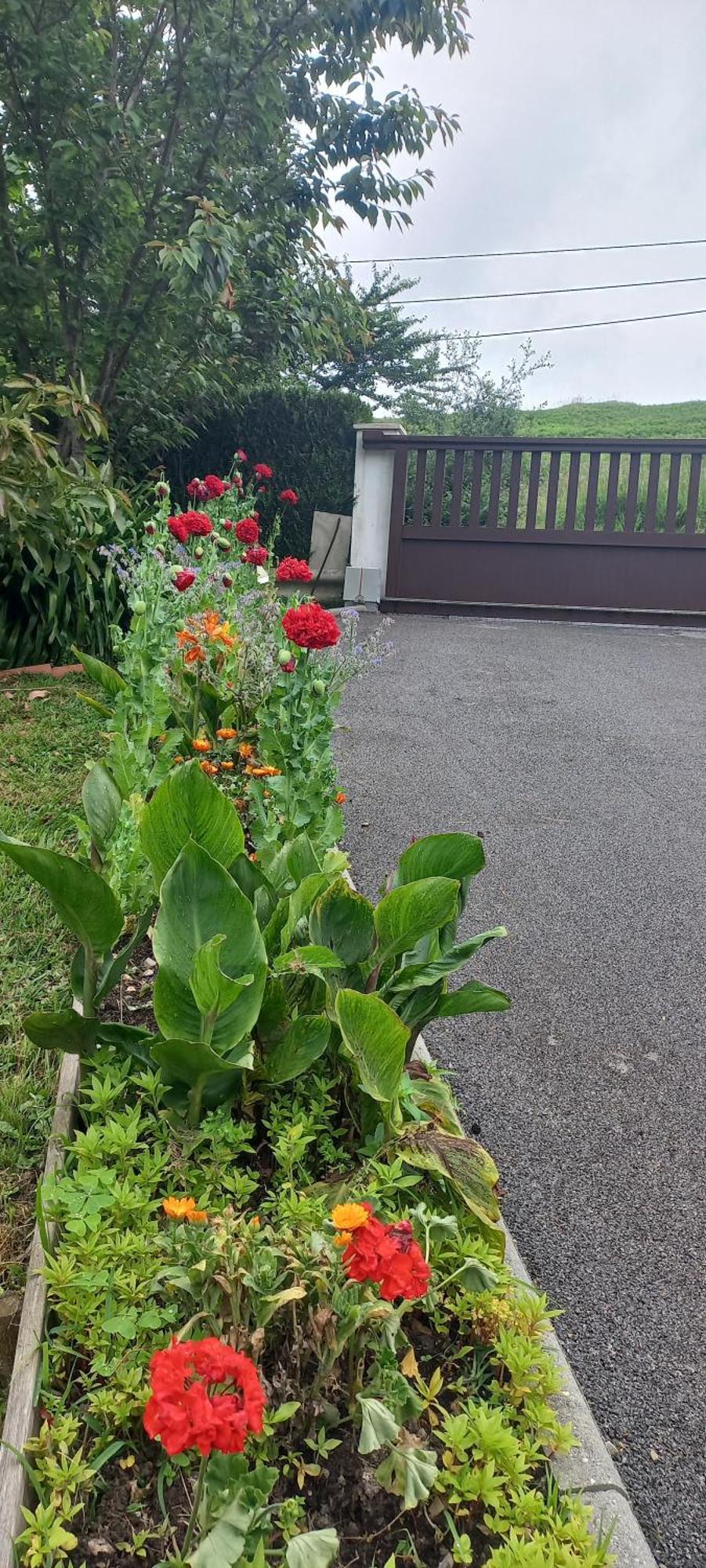 La Casa Bed&Breakfast Entree Independante 26M2 Calme Proche De Tout Wifi Parking Prive Jardin Terrasse Urrugne Eksteriør billede